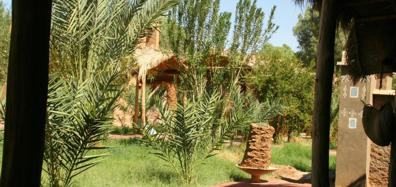 Hamada Du Draa Bed & Breakfast M'Hamid Bagian luar foto