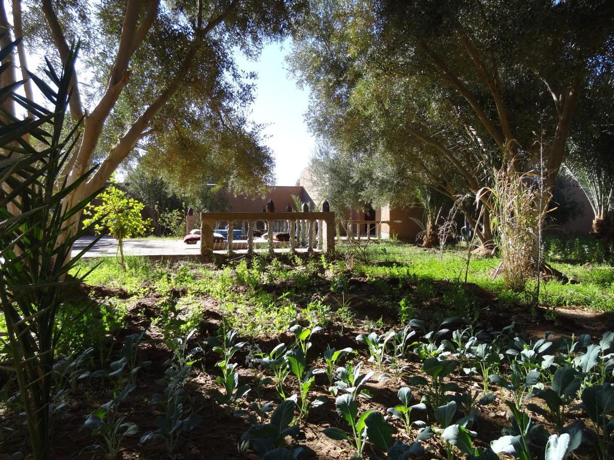 Hamada Du Draa Bed & Breakfast M'Hamid Bagian luar foto