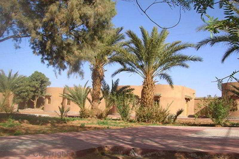 Hamada Du Draa Bed & Breakfast M'Hamid Bagian luar foto