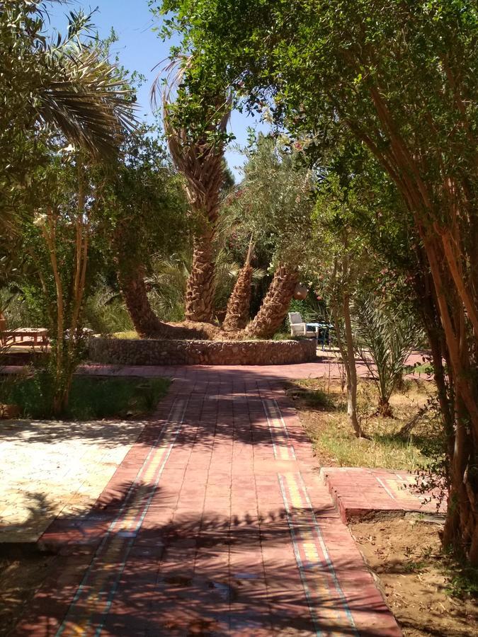 Hamada Du Draa Bed & Breakfast M'Hamid Bagian luar foto