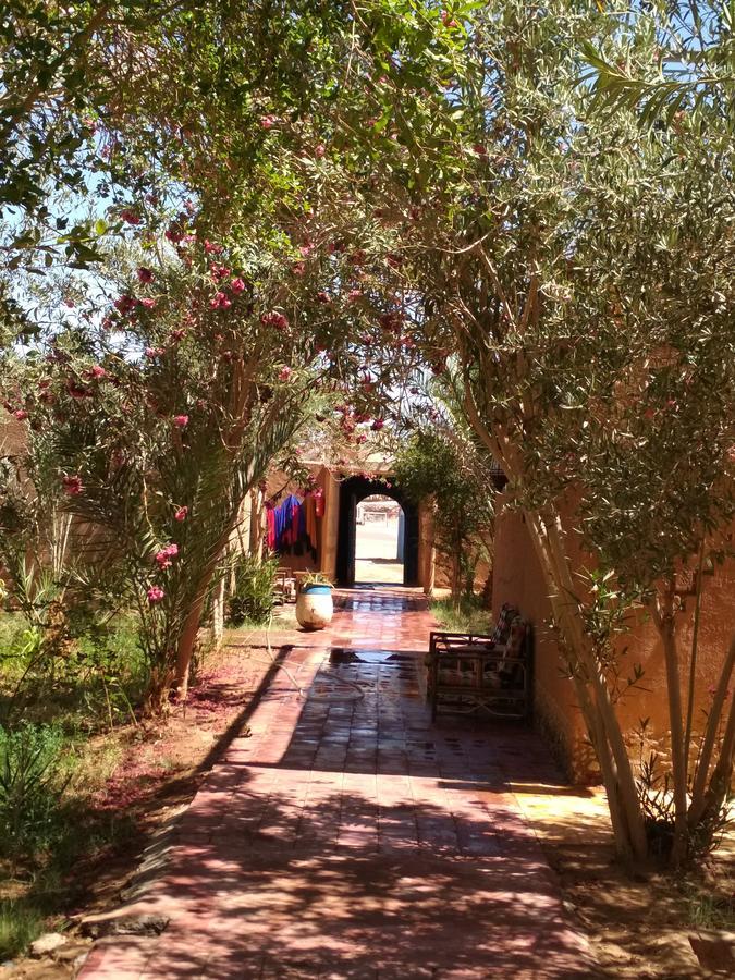 Hamada Du Draa Bed & Breakfast M'Hamid Bagian luar foto
